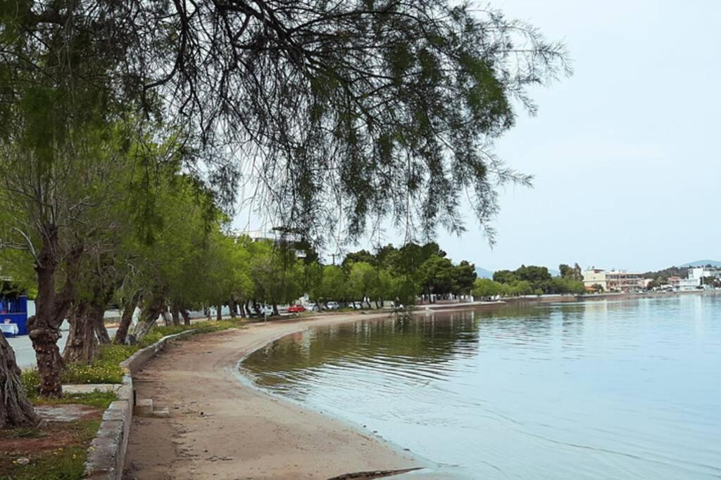 Πολυτελές Διαμέρισμα 3 Χαλκίδα-Παραλία Αυλίδος Paralia Avlidhos Esterno foto