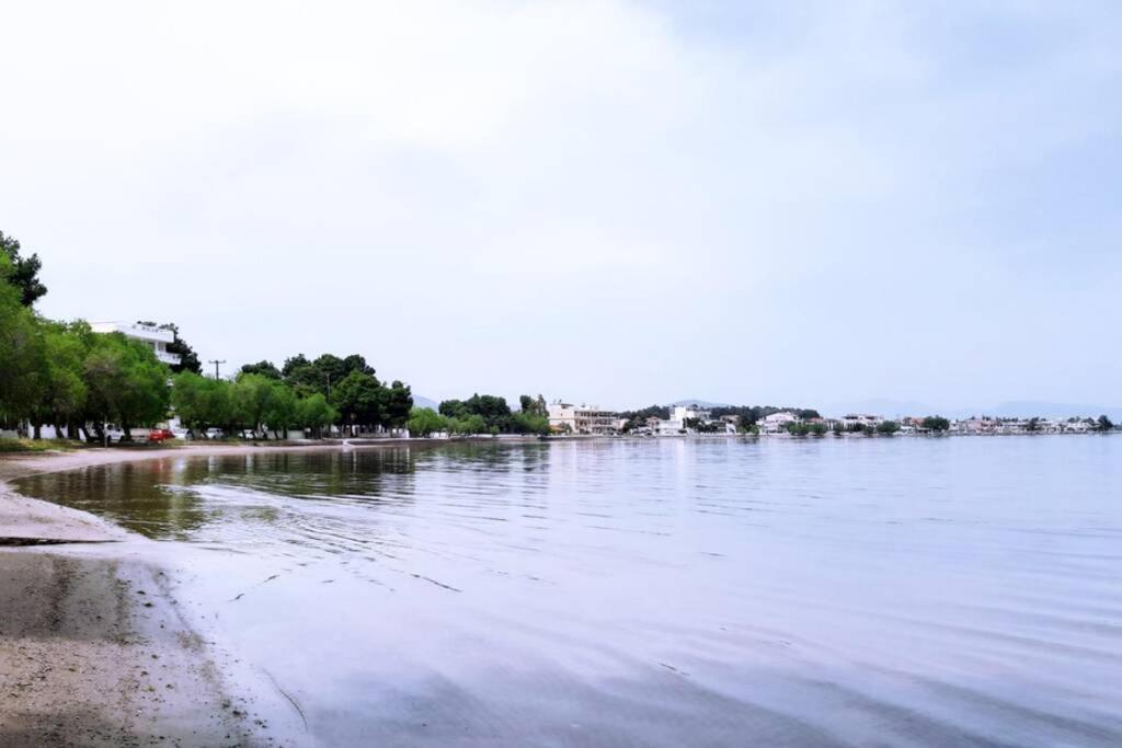 Πολυτελές Διαμέρισμα 3 Χαλκίδα-Παραλία Αυλίδος Paralia Avlidhos Esterno foto